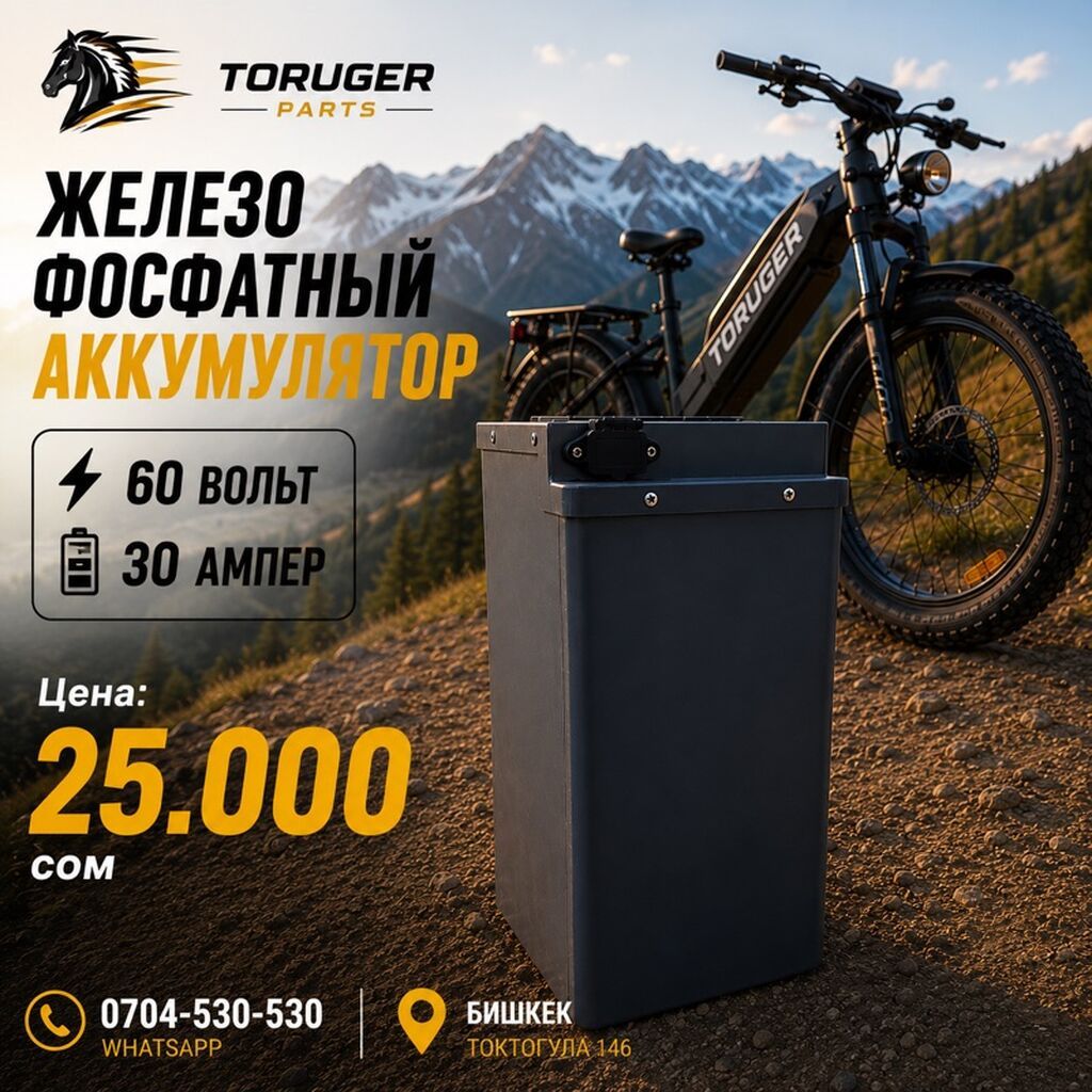 Литий-железо-фосфатные аккумуляторы TORUGER PARTS для: фото 3