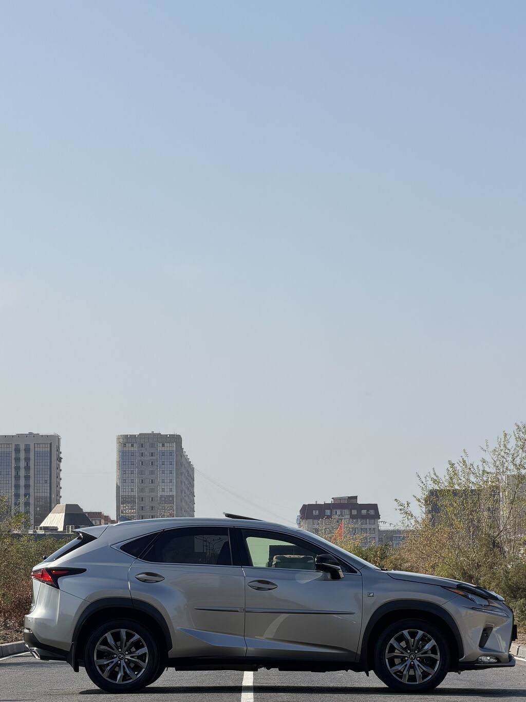Lexus NX: 2019 г., 2 л, Автомат, Бензин, Кроссовер: фото 5