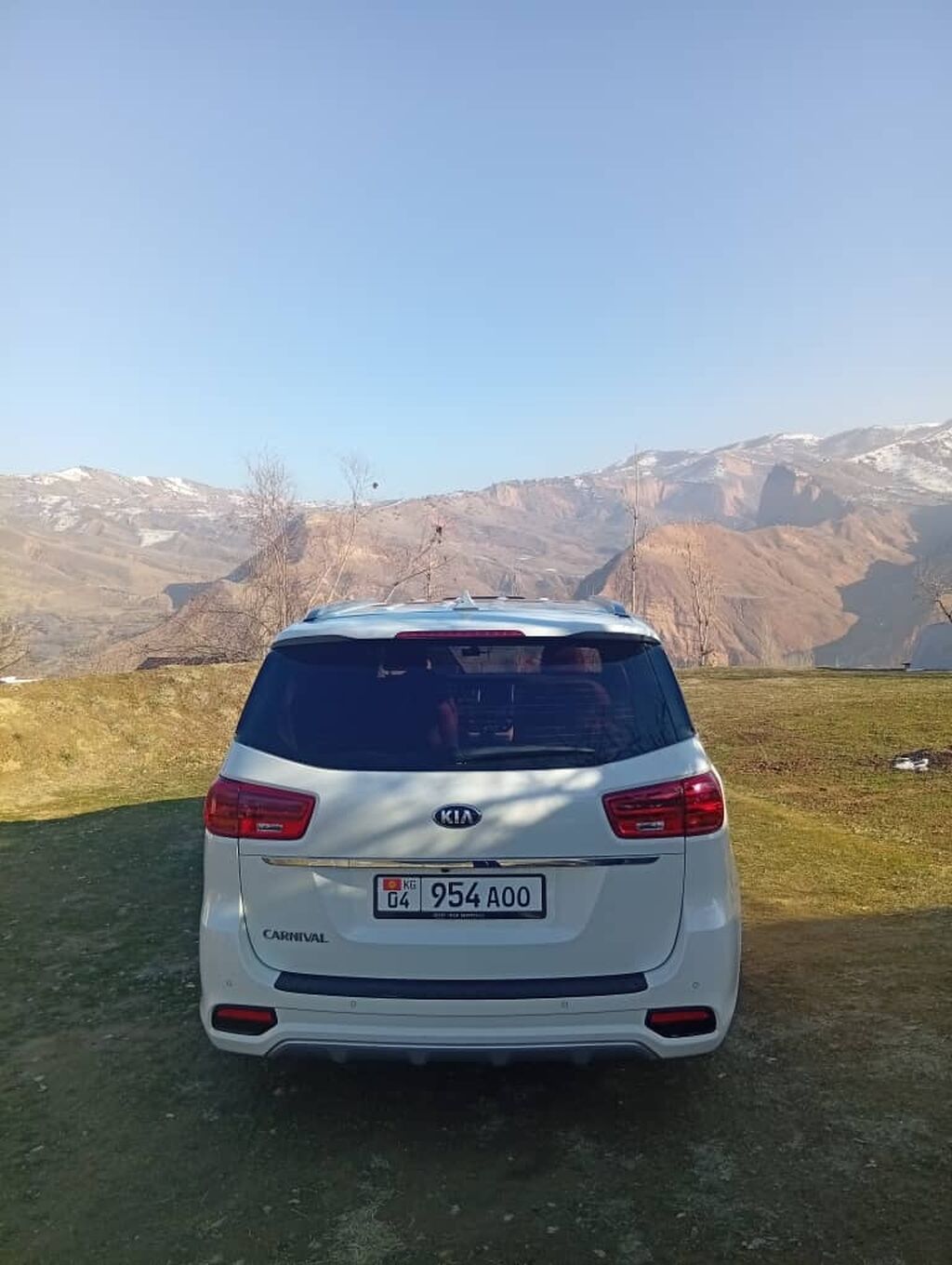Kia Carnival: 2019 г., 2.2 л, Автомат, Дизель, Минивэн: фото 4