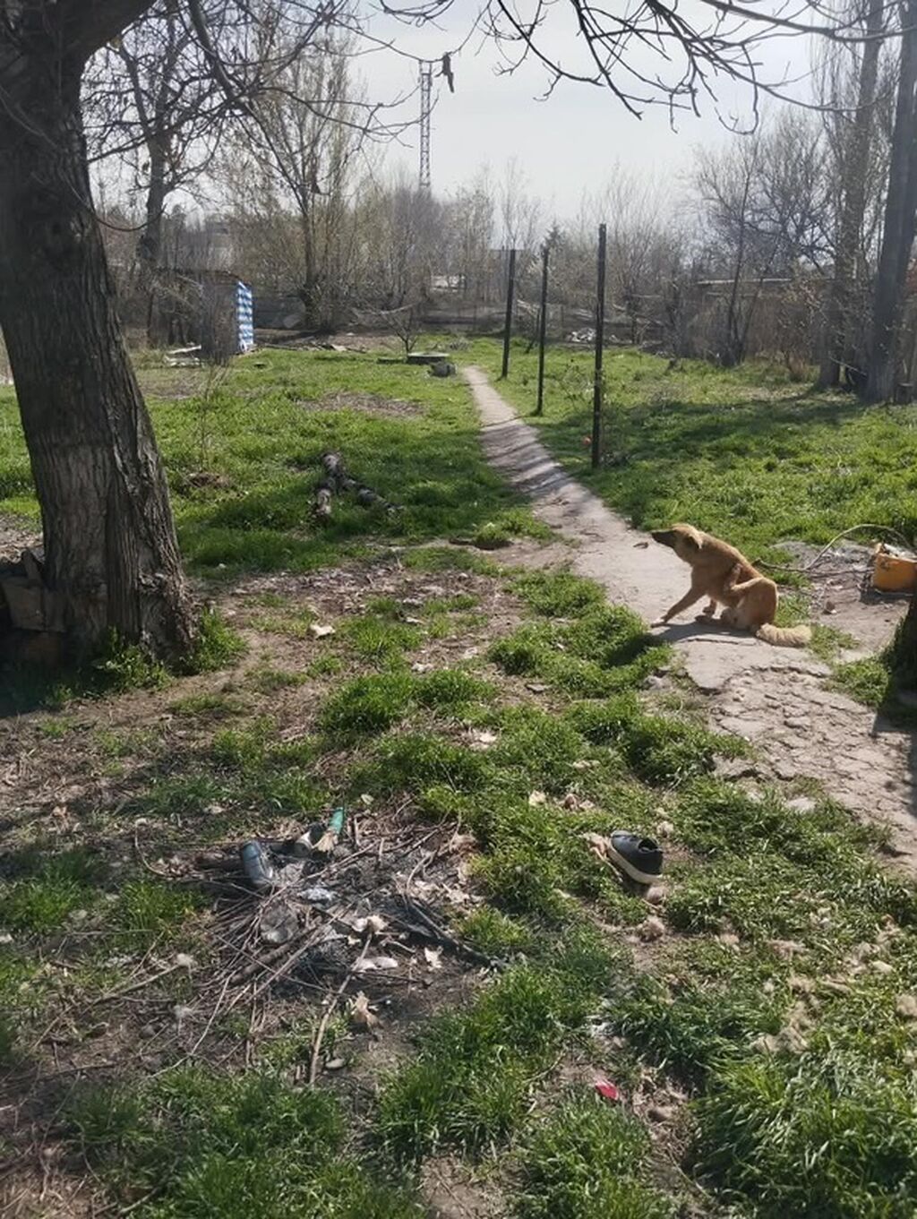 Продаётся дом из 3- х комнат,имеется: фото 3