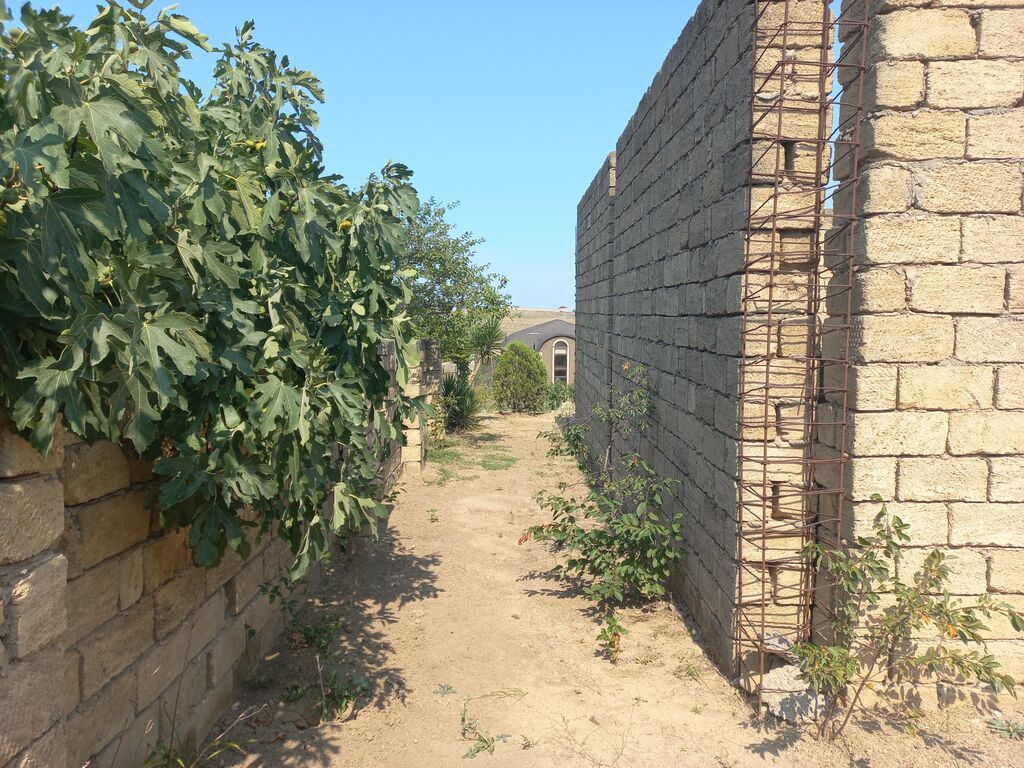 10 sot, Tikinti, Mülkiyyətçi, Kupça (Çıxarış)