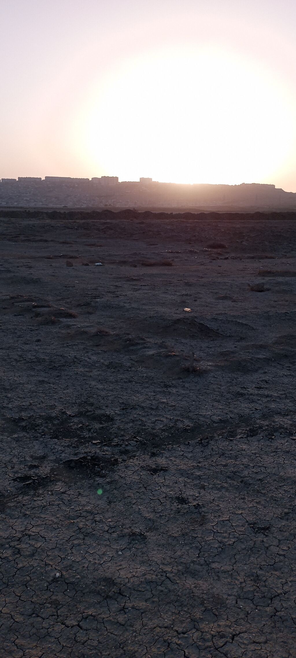 Tikinti