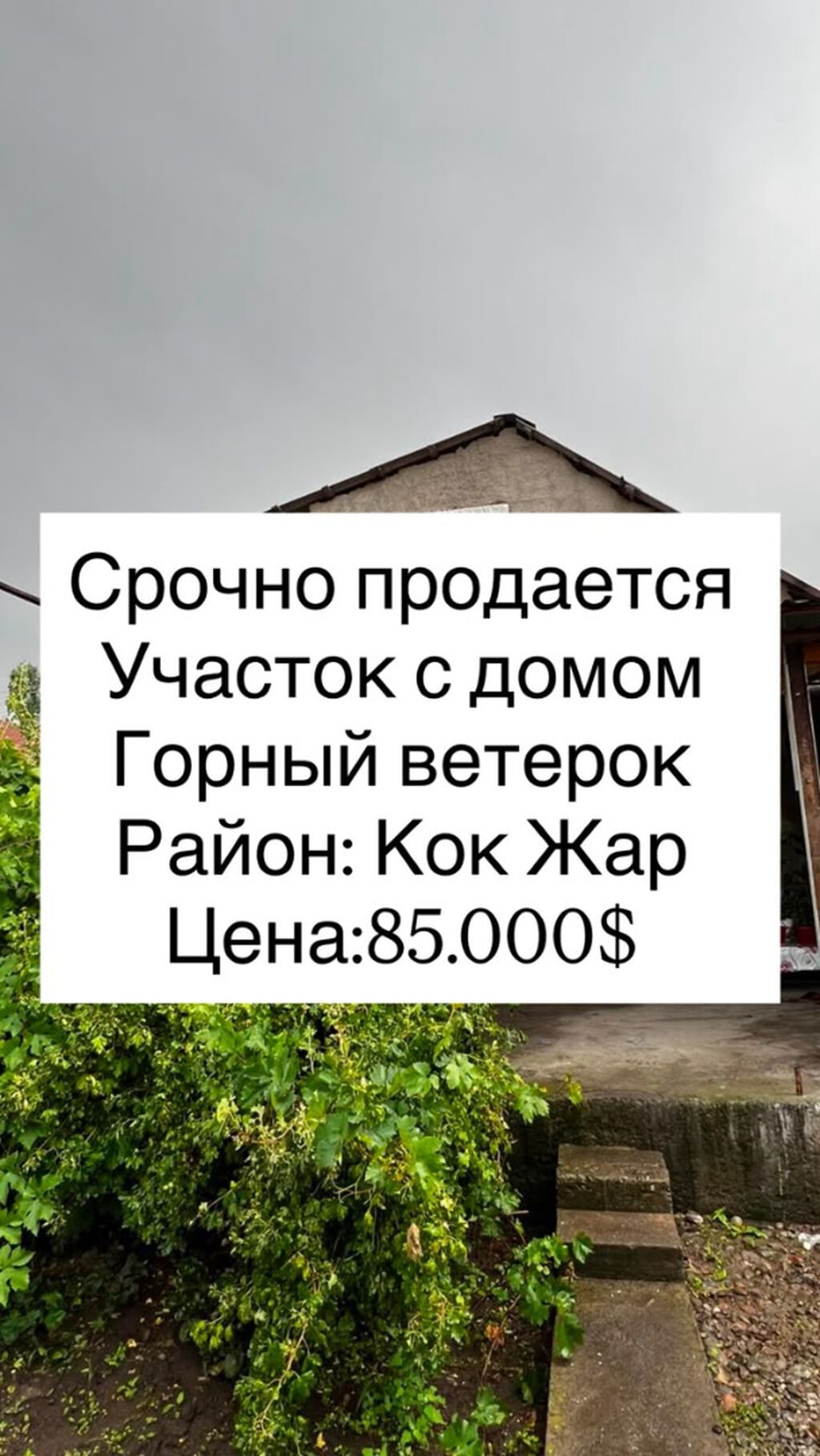 4 соток, Для строительства, Договор купли-продажи, Красная книга, Тех паспорт