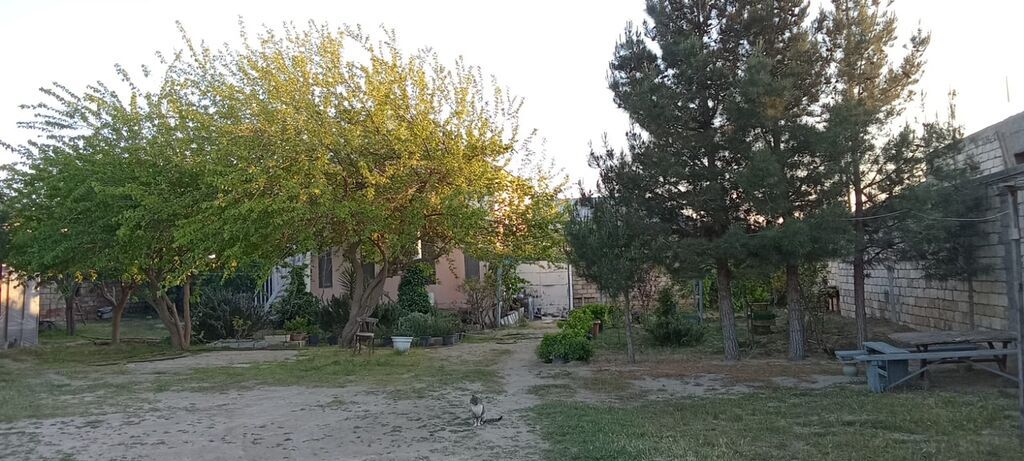 5 otaqlı, 110 kv. m, Orta təmir