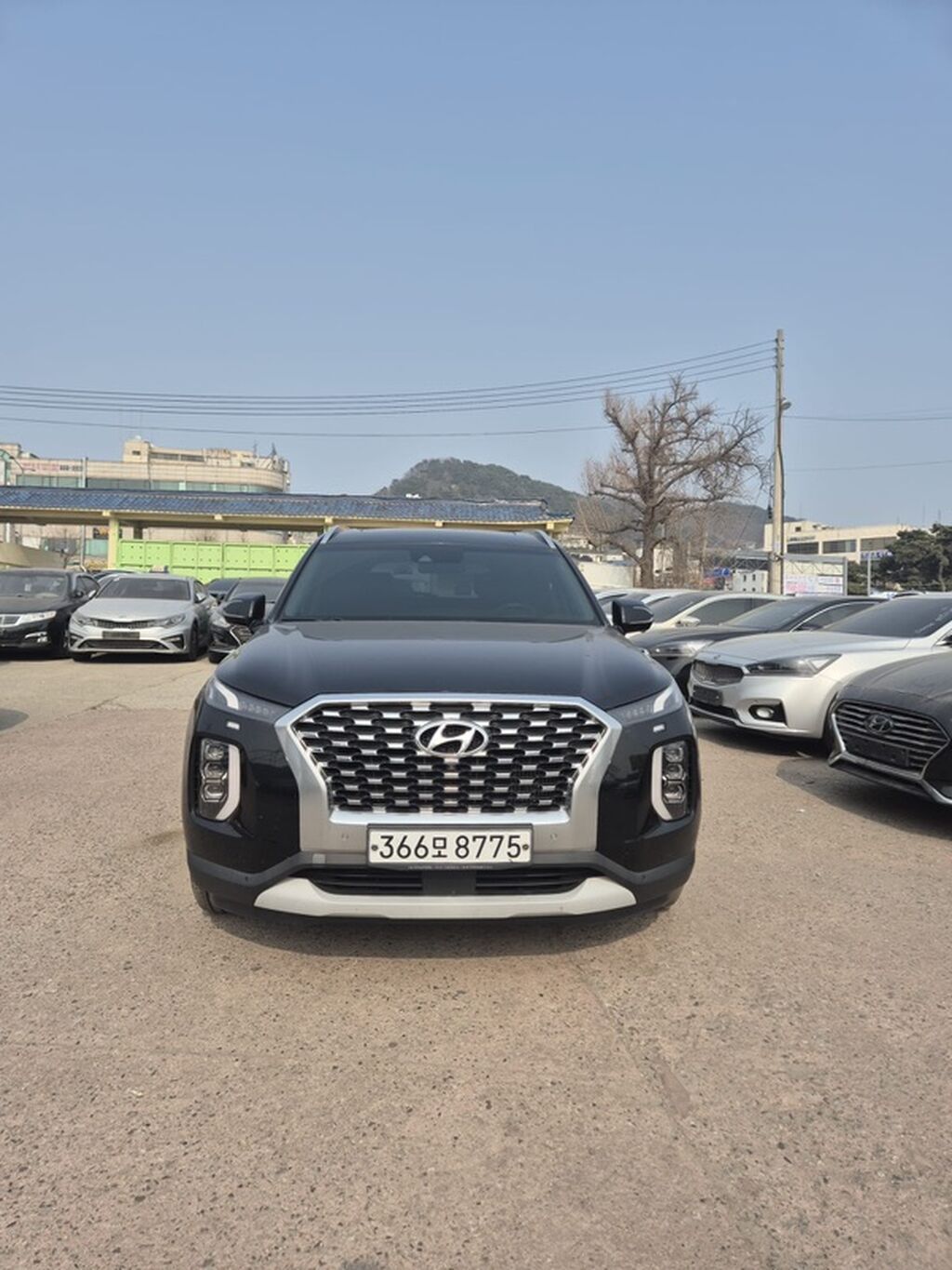 Hyundai Palisade: 2020 г., 2.2 л, Автомат, Дизель, Кроссовер: фото 4