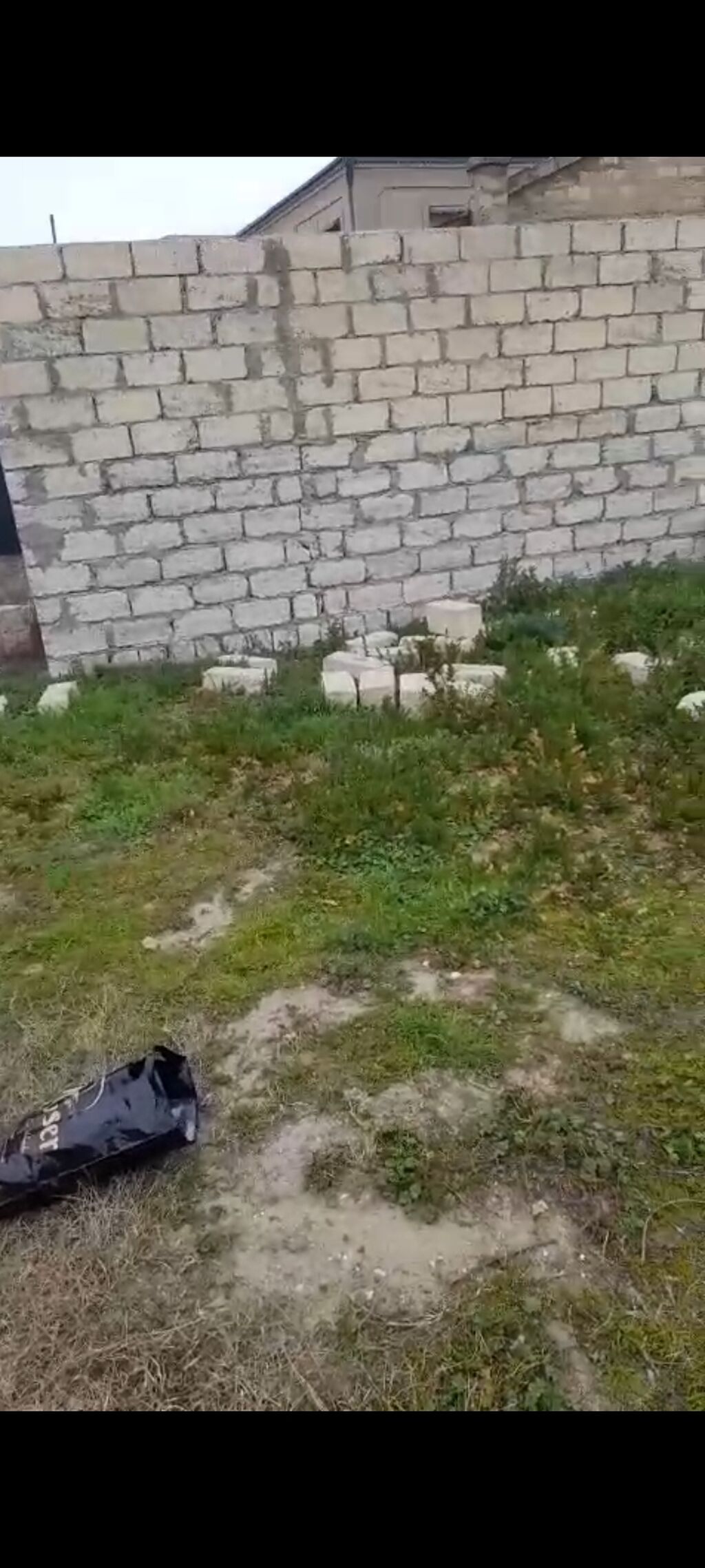 Tikinti