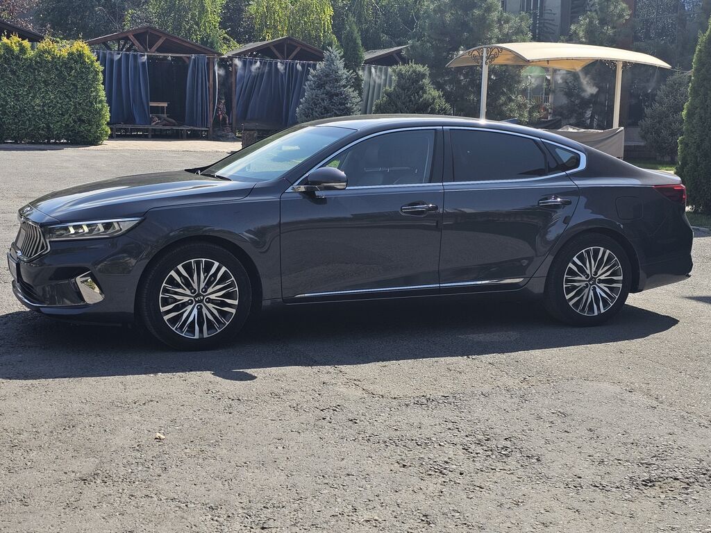 Kia Cadenza: 2019 г., 3 л, Автомат, Газ, Седан: фото 4