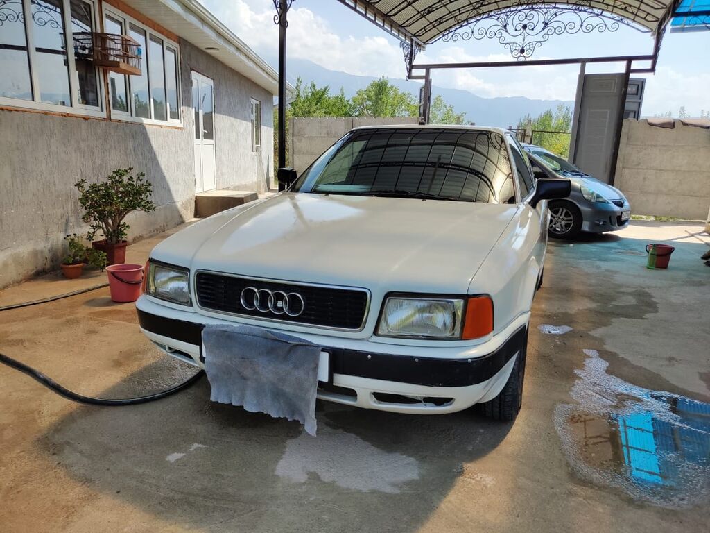 Audi 80: 1992 г., Бензин, Седан: фото 4