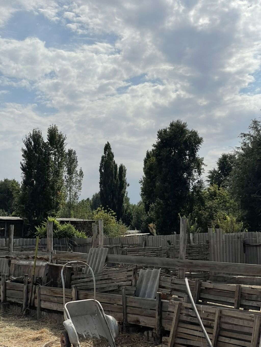 Продаётся дом в с. Новониколаевка Жайылский район, с: фото 5
