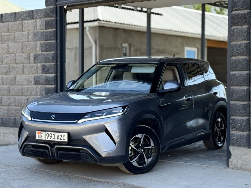 BYD Yuan Up: 2024 г., 0.1 л, Автомат, Электромобиль, Кроссовер: фото 1