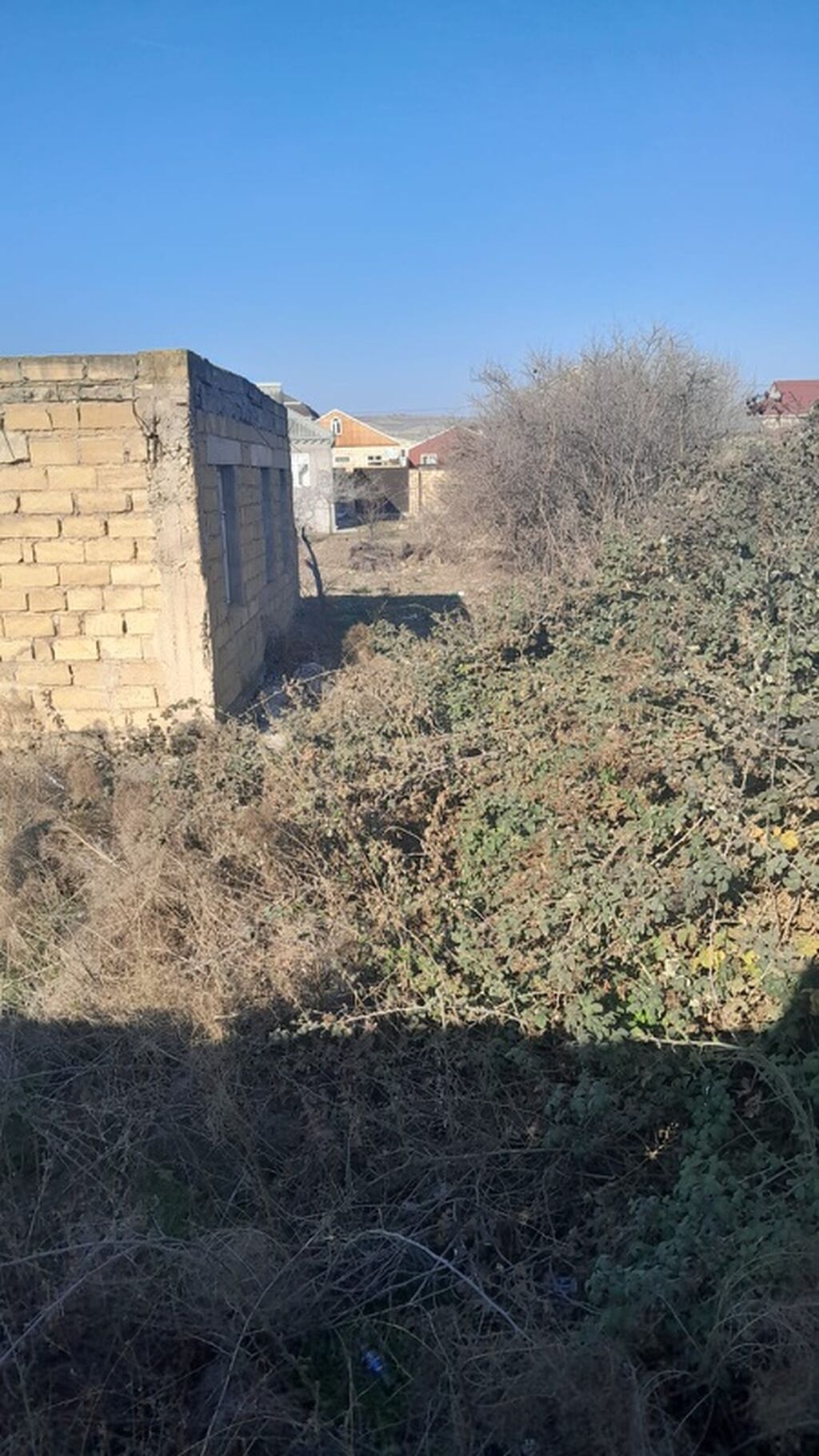 Tikinti, Mülkiyyətçi