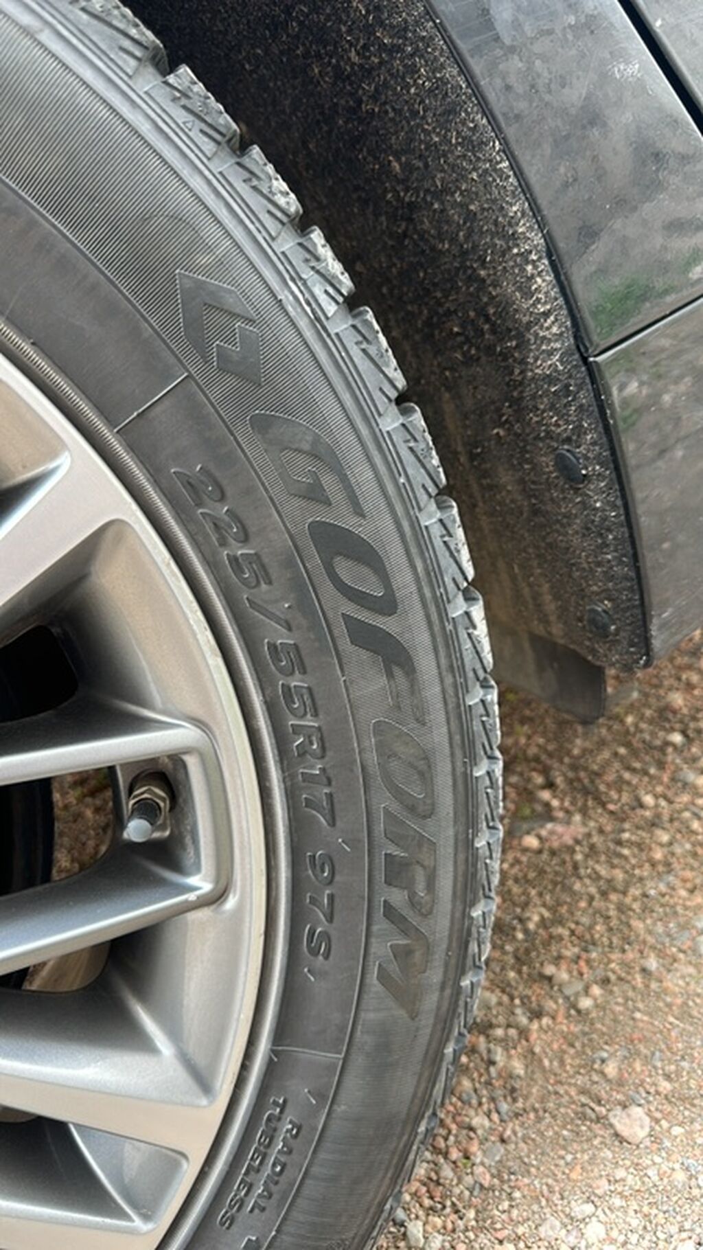 Зимние шины Goform 225/55 R17 97S - Размер: 225/55 R17 - Индекс