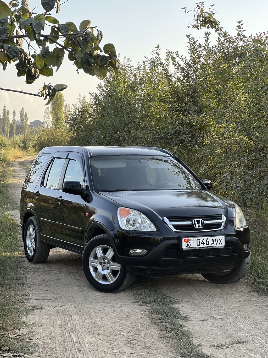 Honda CR-V: 2002 г., 2 л, Автомат, Газ, Кроссовер: фото 1