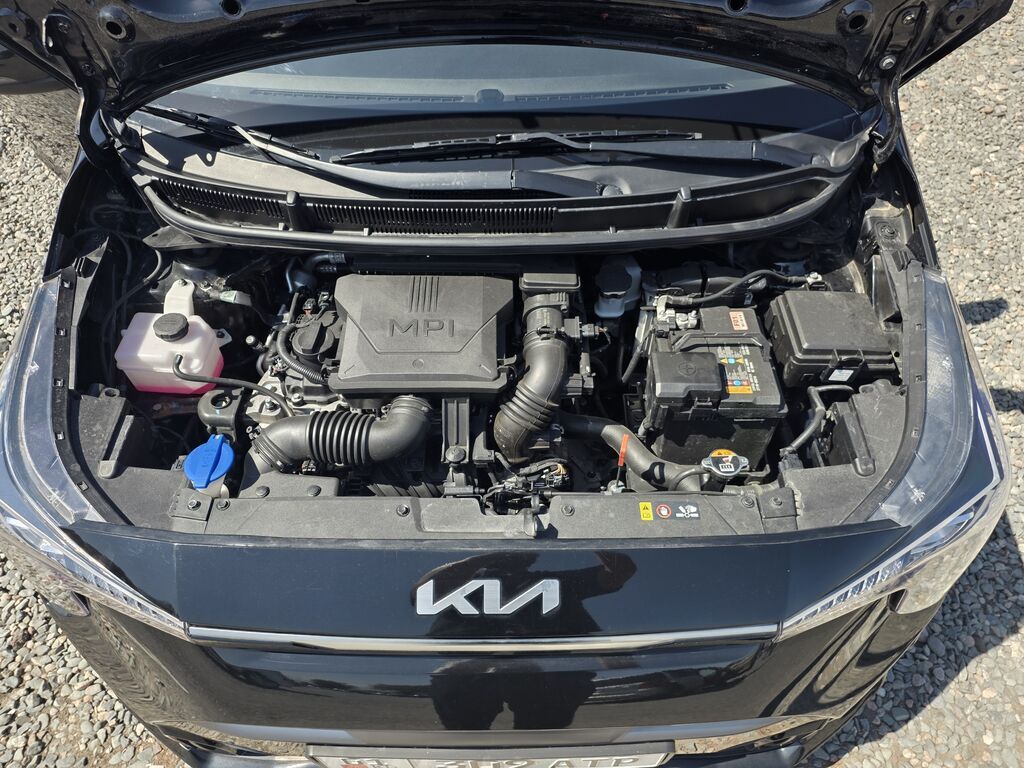 Kia Morning: 2023 г., 1 л, Автомат, Бензин, Хэтчбэк: фото 7
