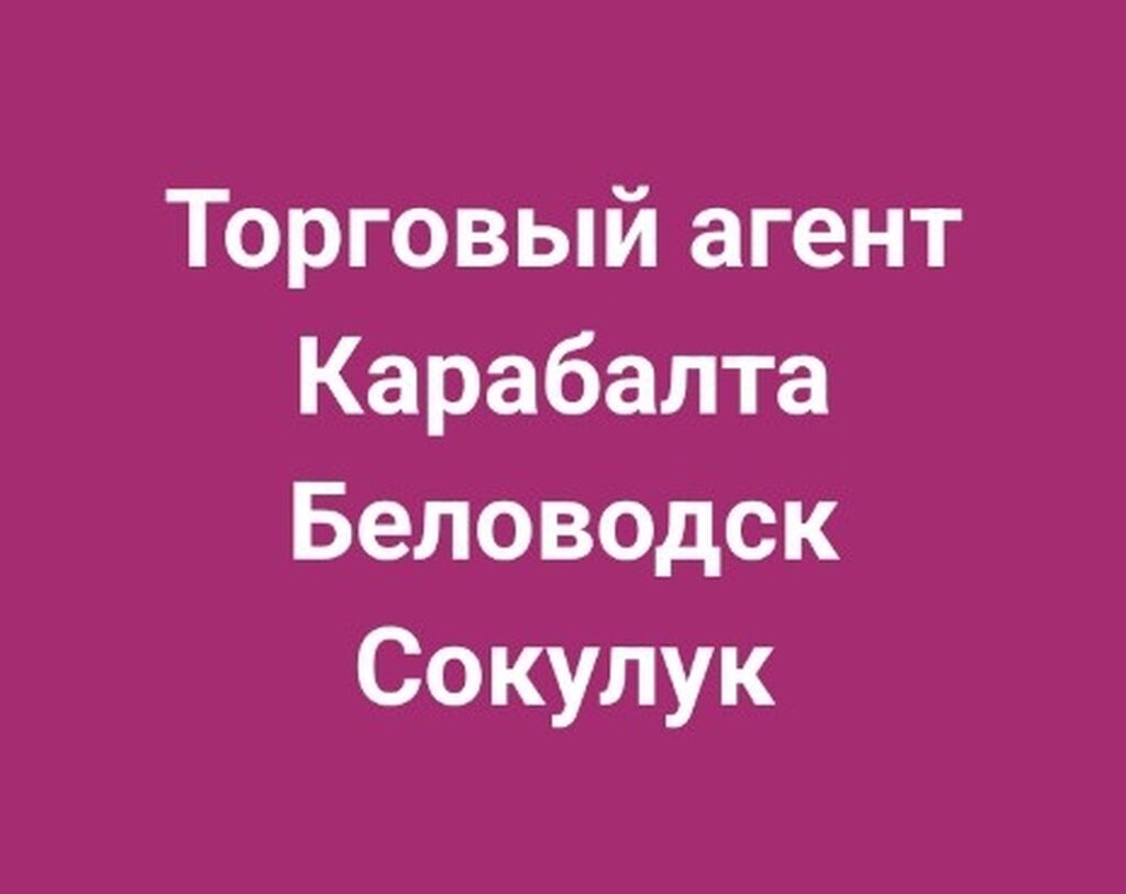 Требуется торговый представитель с авто на: 80000 KGS ᐈ Торговые агенты |  Бишкек | 69364518 ➤ lalafo.kg