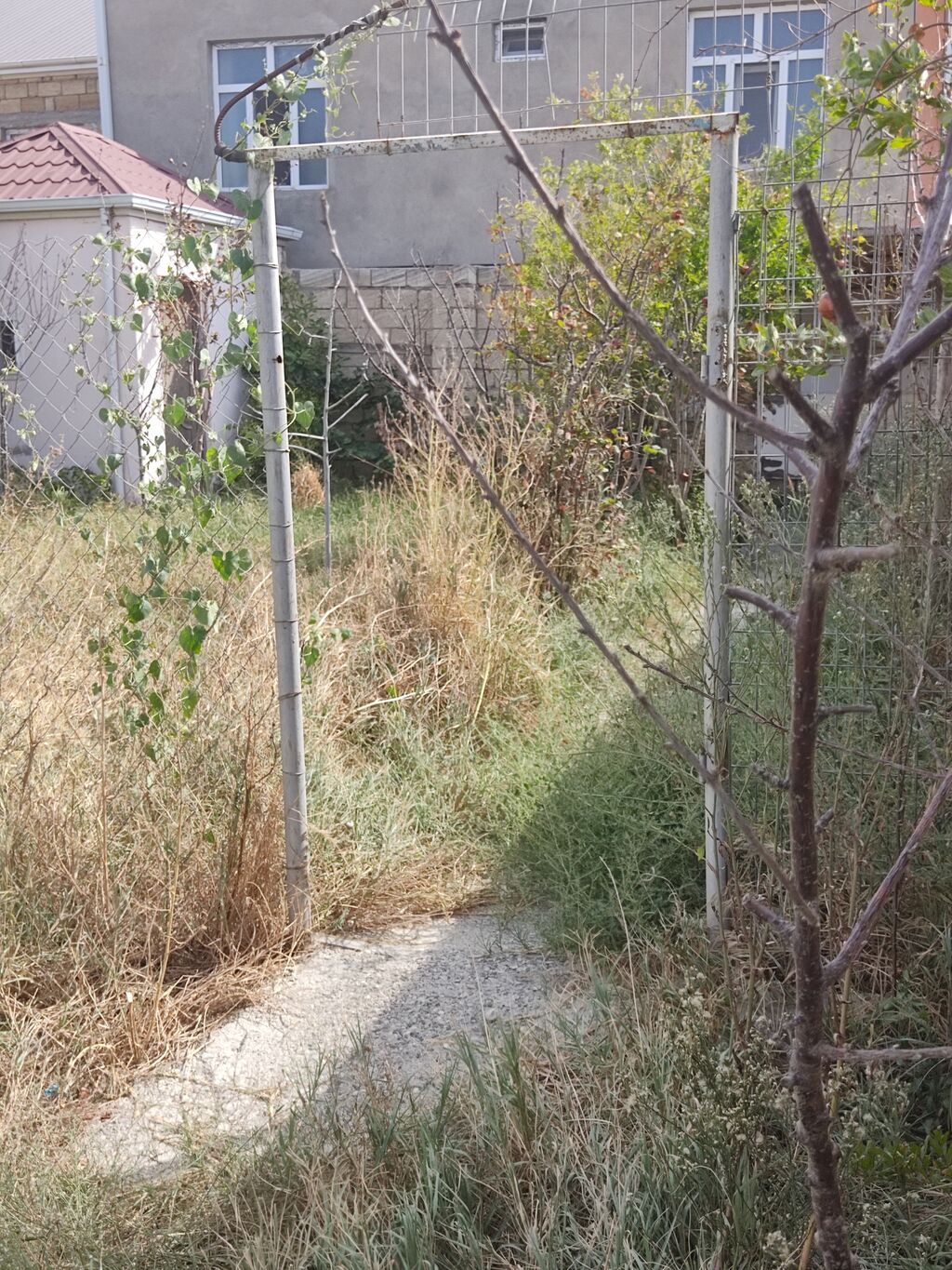 Tikinti, Kupça (Çıxarış)