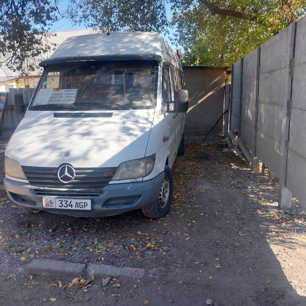 Mercedes-Benz Спринтер: 2003 г., 2.9 л, Механика, Дизель, Бус: фото 2
