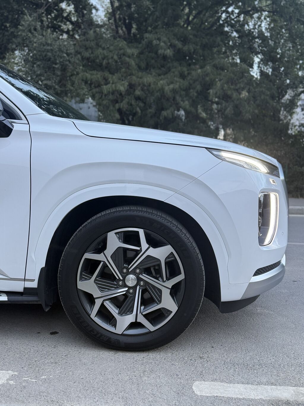 Hyundai Palisade: 2021 г., 3.8 л, Автомат, Бензин, Кроссовер: фото 3