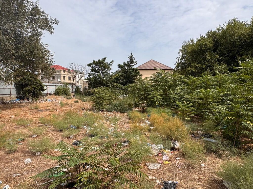 31 sot, Tikinti, Makler, Kupça (Çıxarış)