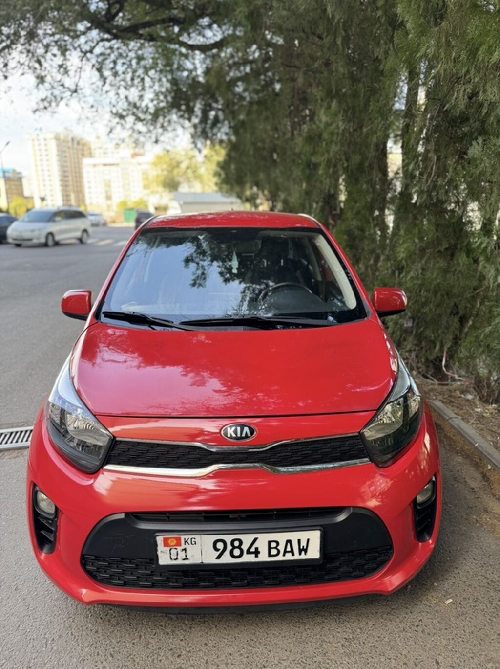 Kia Picanto: 2019 г., 1 л, Автомат, Бензин, Хэтчбэк: фото 4