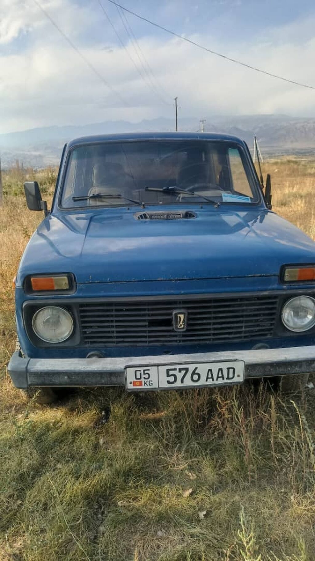 ВАЗ (ЛАДА) 4x4 Нива: 2001 г., 1.7 л, Механика, Бензин, Внедорожник: фото 2