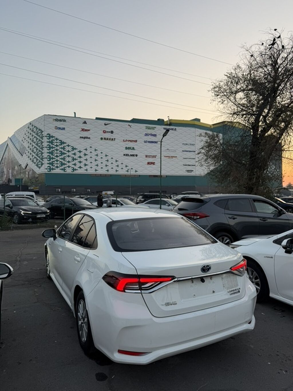 Toyota Corolla: 2023 г., 1.8 л, Вариатор, Гибрид, Седан: фото 4
