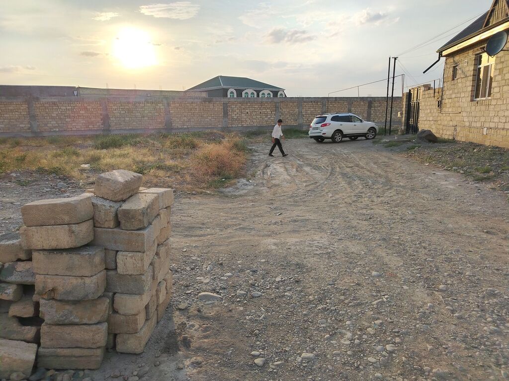 Tikinti
