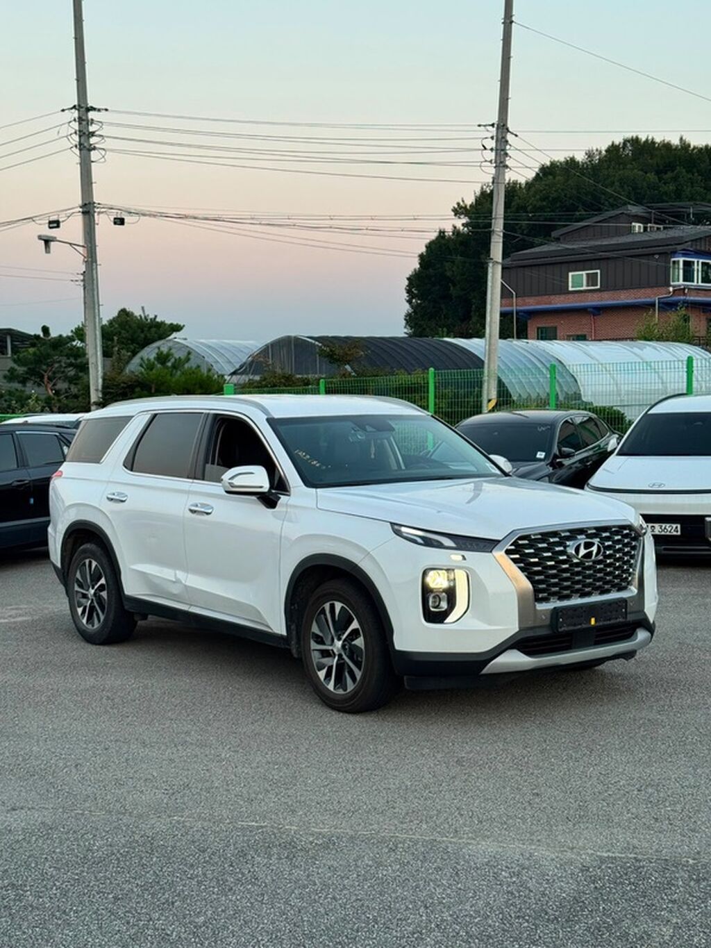 Hyundai Palisade: 2021 г., Кроссовер: фото 6