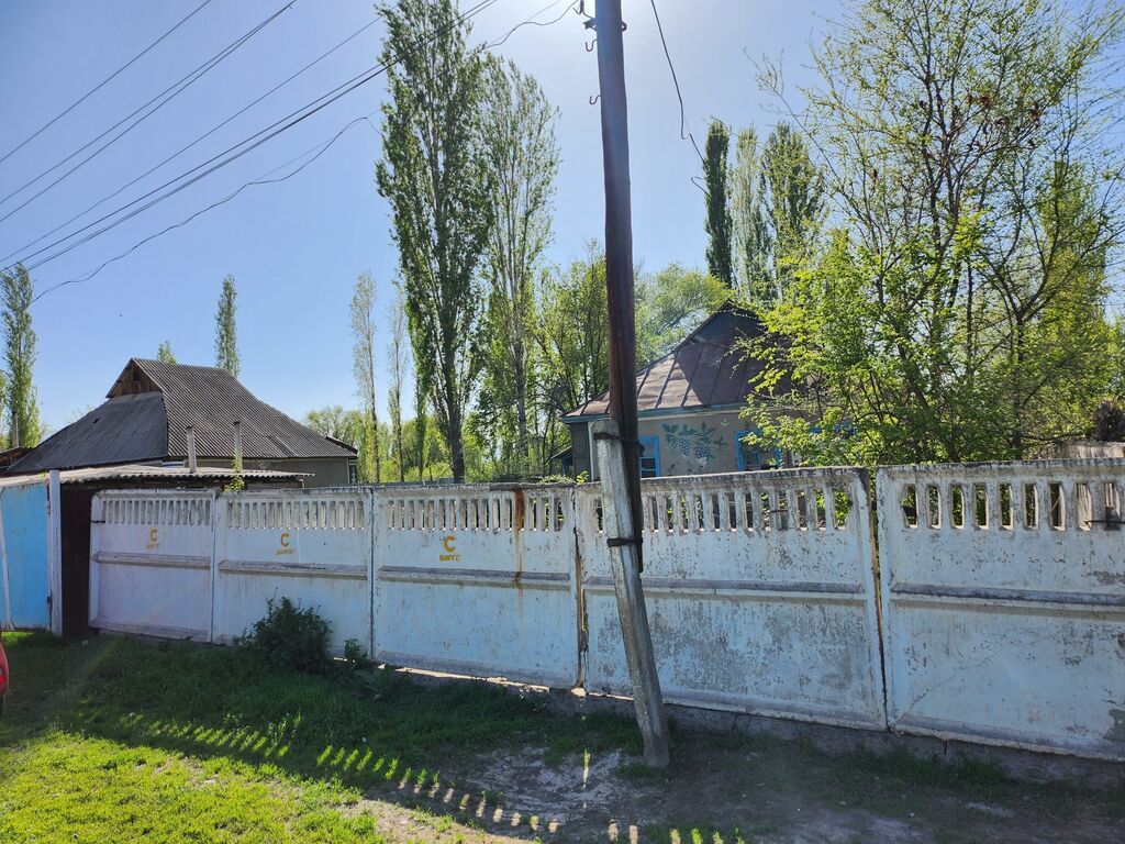 Продаю участок (с домом, возможно под снос) 20лет никто не жил и есть: фото 3