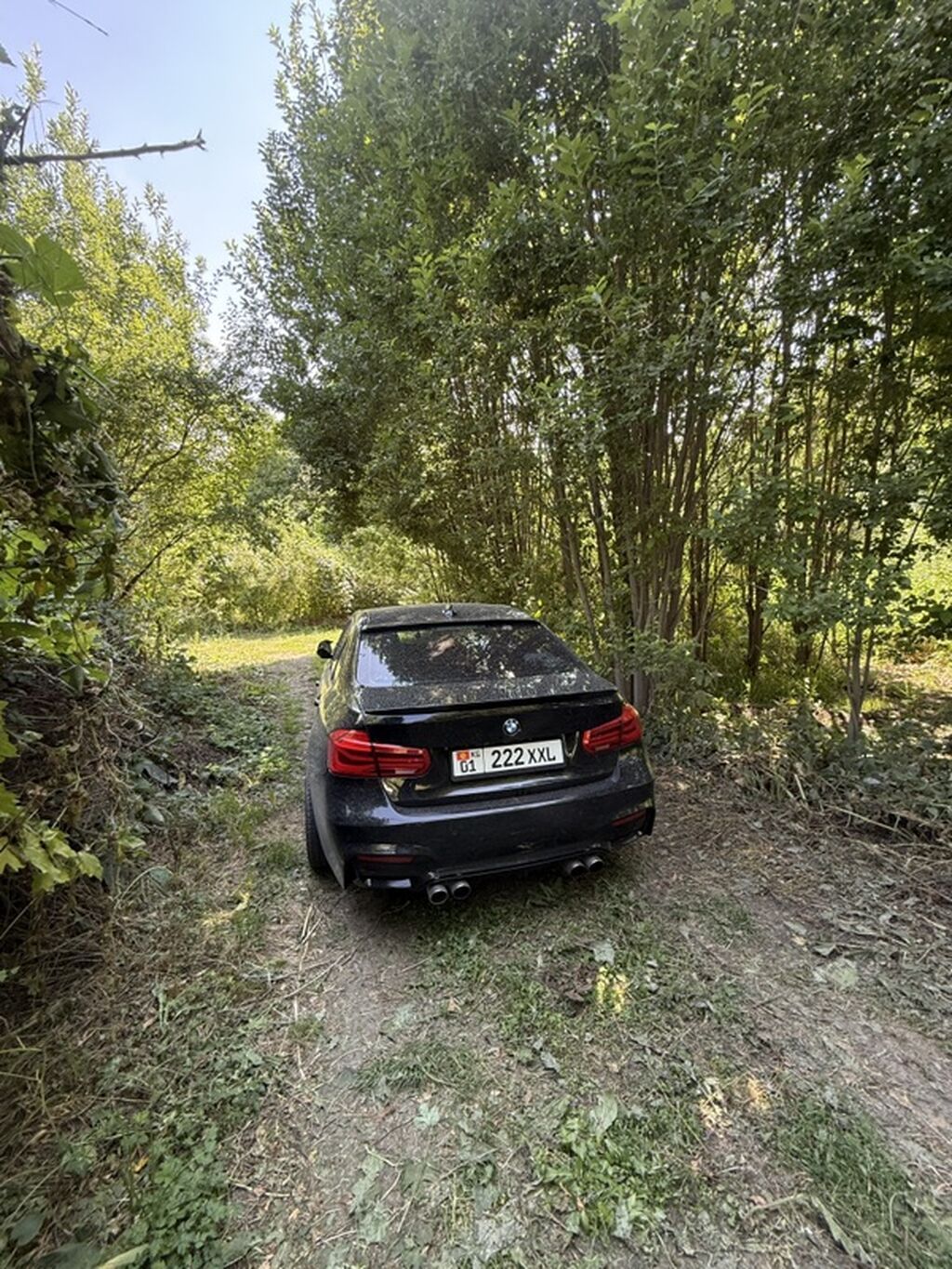 BMW 3 series: 2016 г., 2 л, Автомат, Бензин, Седан: фото 2