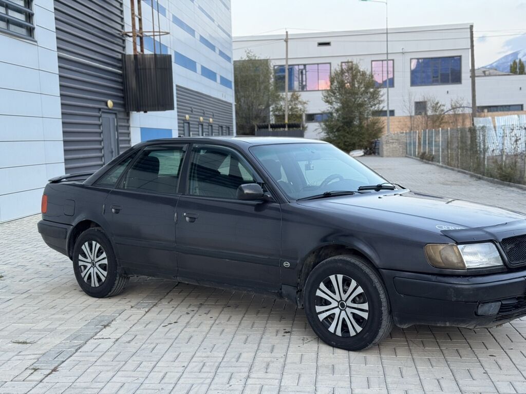 Audi 100: 1993 г., 2.8 л, Механика, Газ, Седан: фото 1