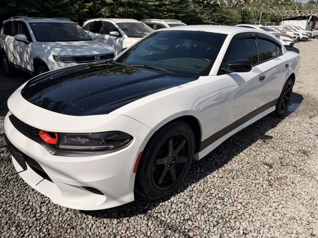 Dodge Зарядник: 2019 г., 3.6 л, Седан: фото 3