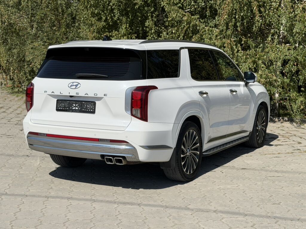 Hyundai Palisade: 2023 г., 2.2 л, Автомат, Дизель, Кроссовер: фото 6