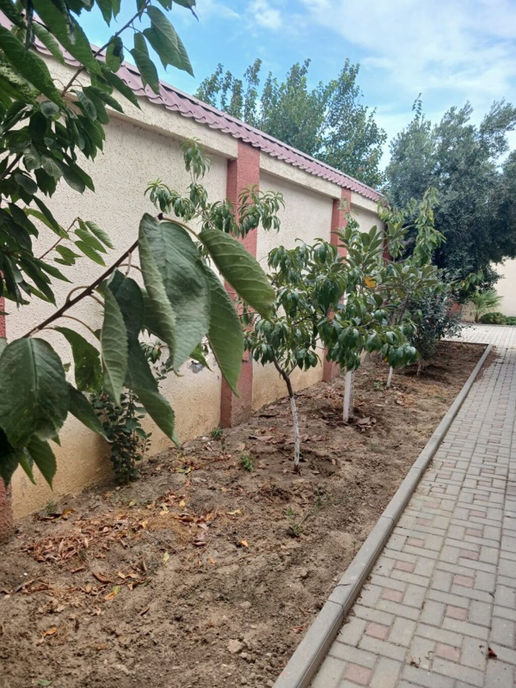 Qala qəs. 4 otaqlı, 200 kv. m, Yeni təmirli