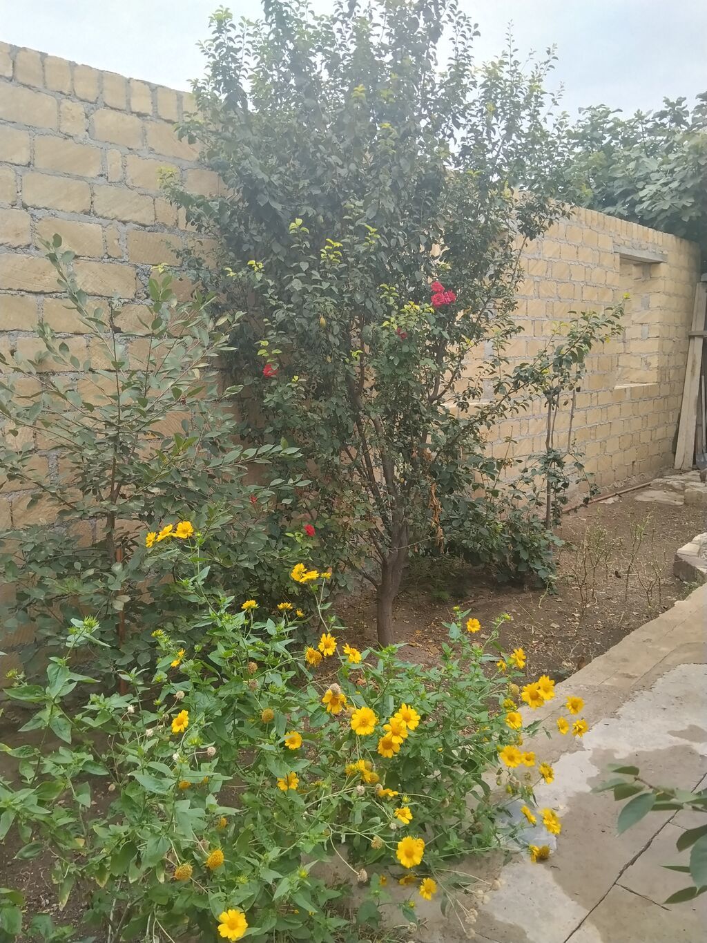 Ev 4 sotda yerləşir, kolidor tipli,1 zal3 yataq otağı, mətbəx, hamam