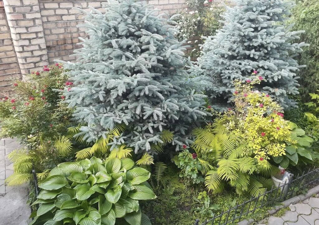 300 м², 6 комнат и более, Нижний Джал (Джал-23), Можно с животными: фото 6
