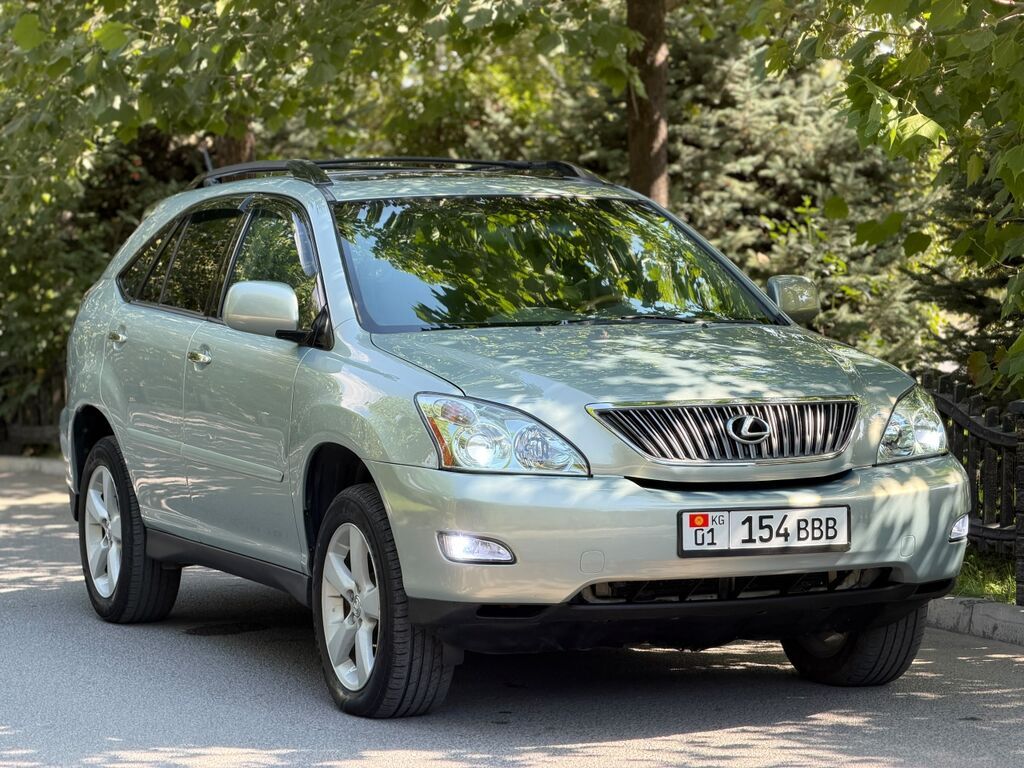 Lexus RX: 2004 г., 3.3 л, Автомат, Бензин, Кроссовер: фото 7