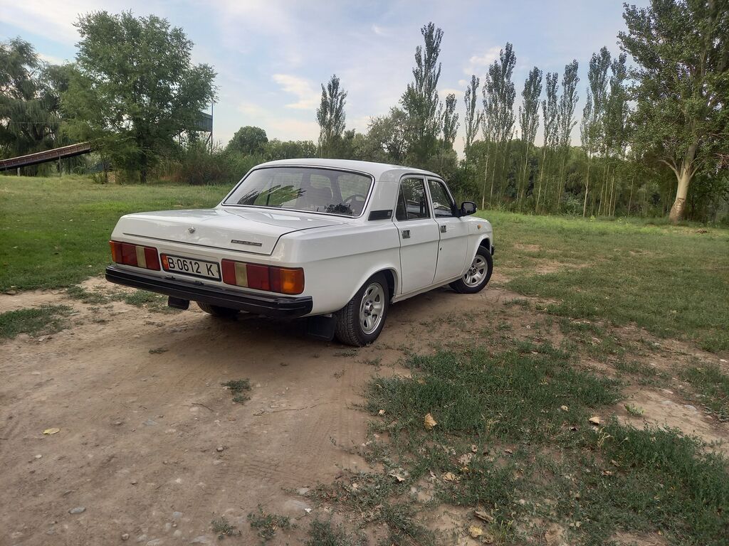 ГАЗ 31029 Volga: 1994 г., 2.4 л, Механика, Бензин, Седан: фото 5