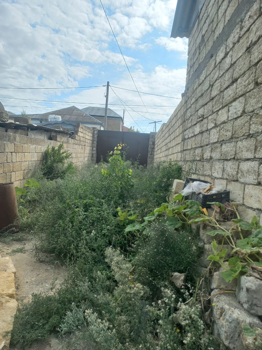 Tikinti