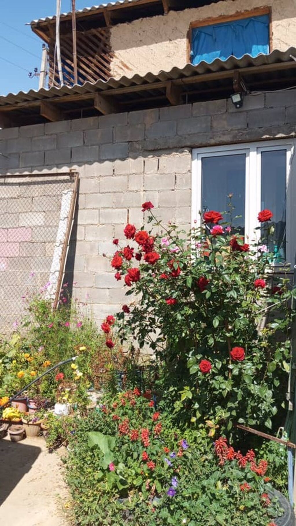 Продается дом в Чолпон-Ате, 240 м², 8 соток: фото 7