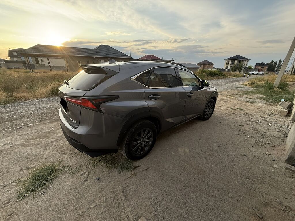 Lexus NX: 2019 г., 2 л, Автомат, Бензин, Кроссовер: фото 4