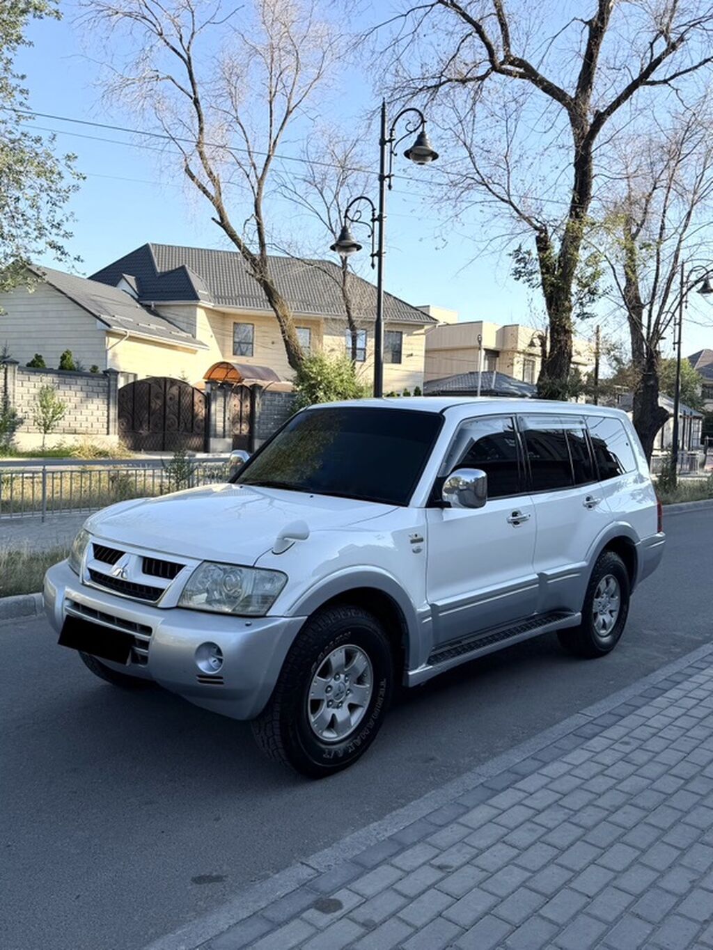 Mitsubishi Pajero: 2003 г., 3 л, Автомат, Бензин, Внедорожник: фото 3