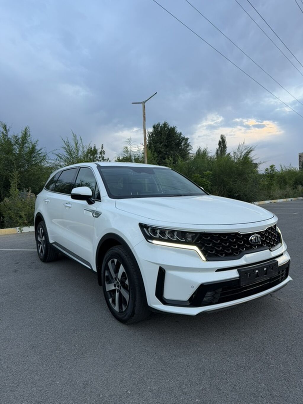 Kia Sorento: 2020 г., 2.2 л, Автомат, Дизель, Кроссовер: фото 3