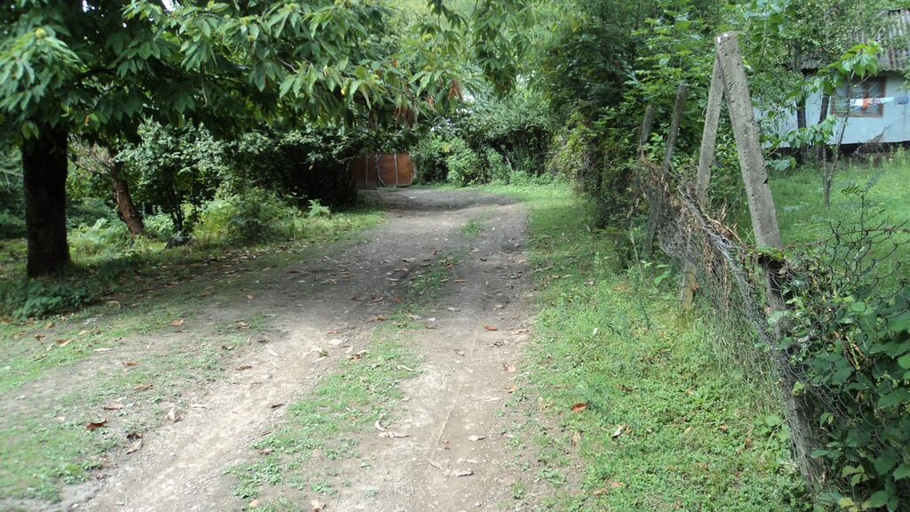 17 sot, Tikinti, Mülkiyyətçi, Kupça (Çıxarış)