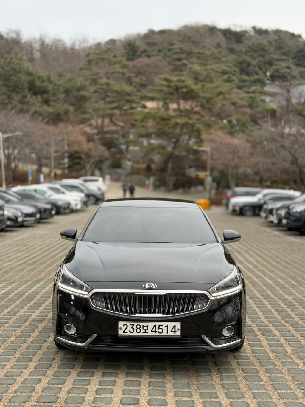 Kia K7: 2019 г., 2.4 л, Автомат, Гибрид, Седан: фото 5