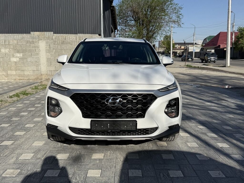 Hyundai Santa Fe: 2018 г., 2 л, Автомат, Дизель, Кроссовер: фото 1