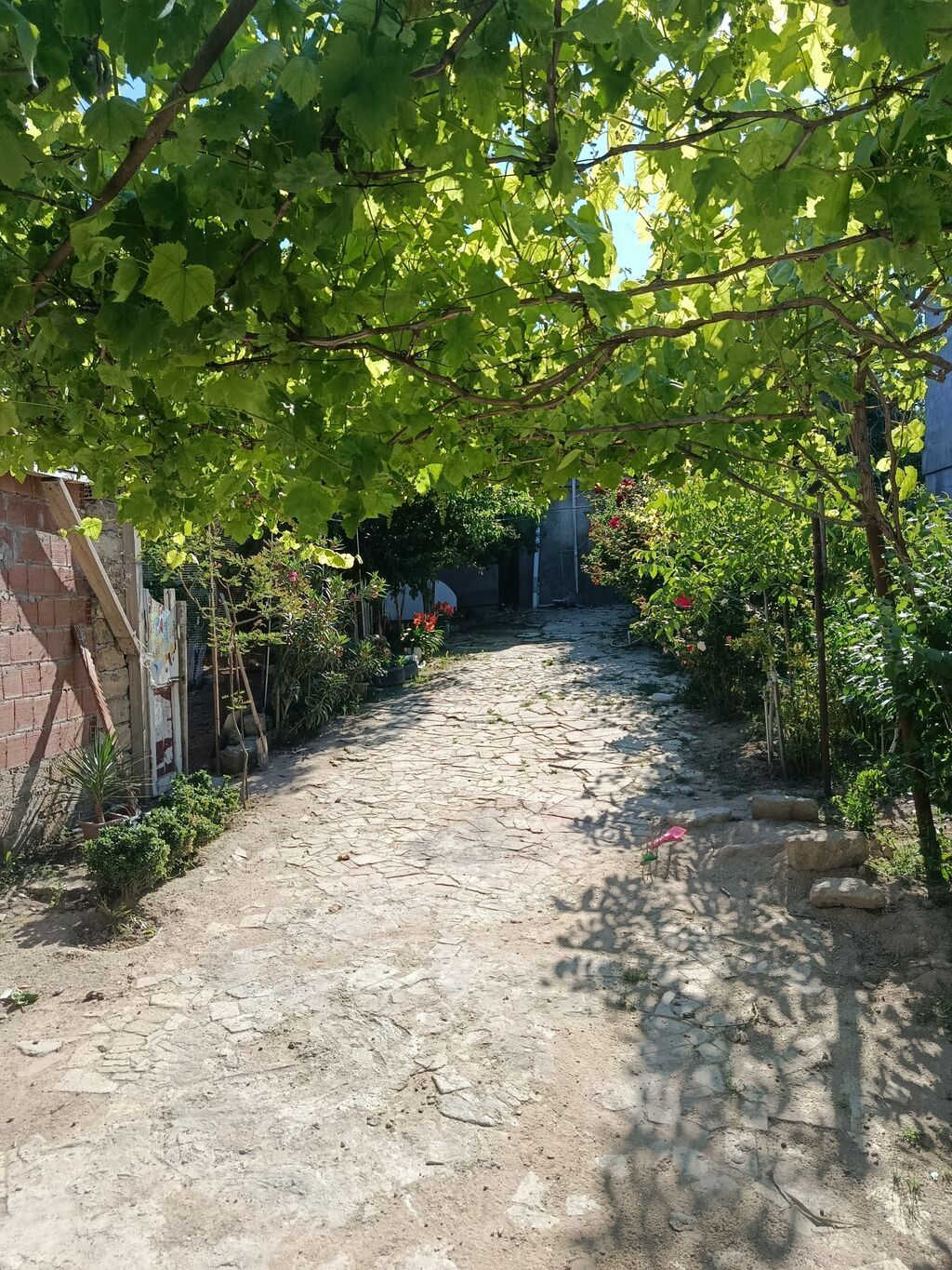 5 otaqlı, 500 kv. m, Kredit yoxdur, Yeni təmirli