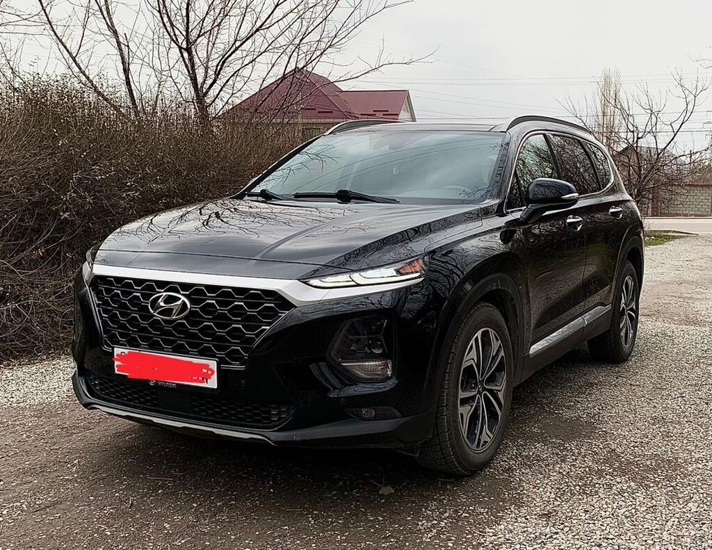 Hyundai Santa Fe: 2019 г., 2 л, Автомат, Бензин, Внедорожник: фото 3