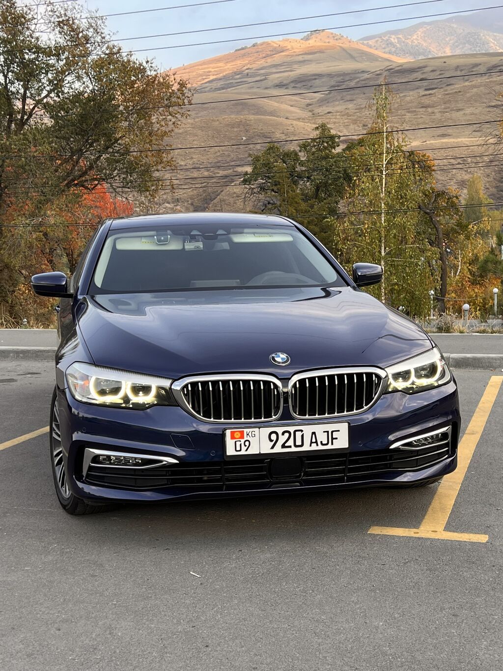 BMW 5 series: 2019 г., 2 л, Автомат, Бензин, Седан: фото 6