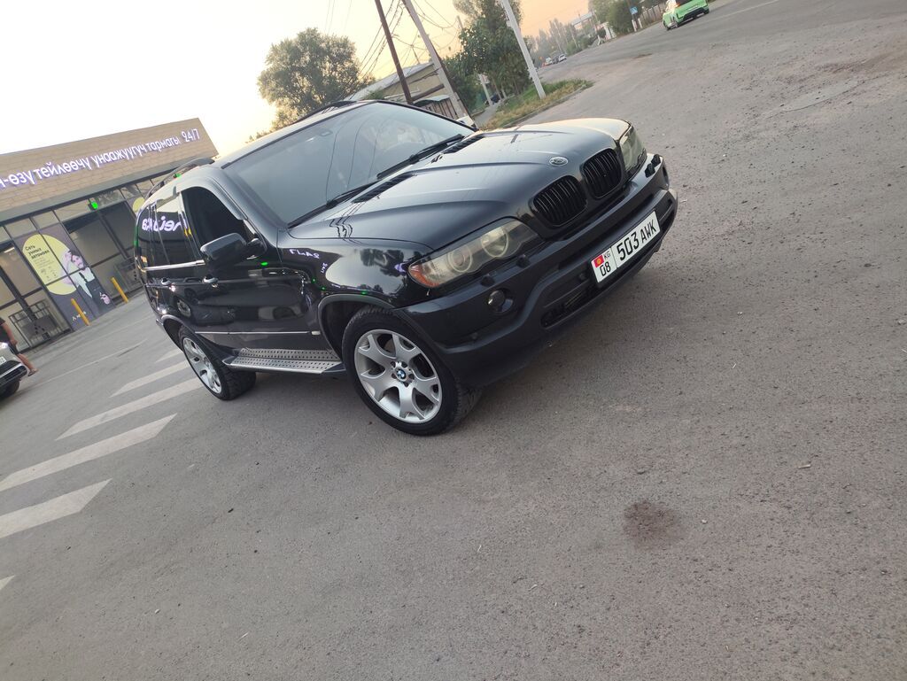 BMW X5: 2003 г., 3 л, Автомат, Дизель, Внедорожник: фото 2